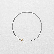 Videographer Rotund Perfect