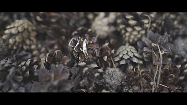 Videographer Alexander Makarov from Orjol, Rusko - GORKI57 PARTY [ Alexander & Valeria ], wedding