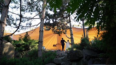 Videographer Igor Pokrovskiy from Rostow am Don, Russland - Oleg & Katya, wedding