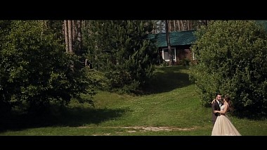 Videographer Andrei Pliev from Saransk, Rusko - Свадебная ФОТО и ВИДЕО съёмка в Саранске., wedding