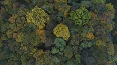 Videographer Michal Steflovic from Prague, Tchéquie - Wedding cinematic reel, drone-video, showreel, wedding