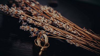 Videographer Emilian Petcu from Iasi, Romania - S & C | The lucky ones, wedding