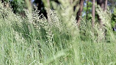 Videographer Andrey Yasko from Čerkasy, Ukrajina - Запрошення, SDE, engagement, invitation, musical video, wedding