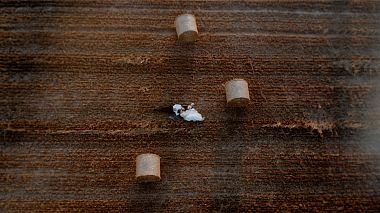 Videógrafo Two With Cameras de Varsovia, Polonia - kaja + maxime | poland, drone-video, wedding