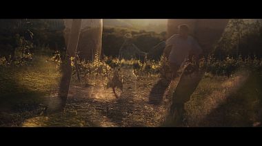 Videographer Dmitriy Anischenko from Krasnodar, Russia - Вадим и Мария, engagement, event, wedding