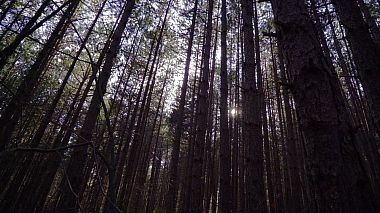 Videographer Vasilis Tsafos from Kalamata, Řecko - My family's village, baby, engagement, reporting, sport, training video