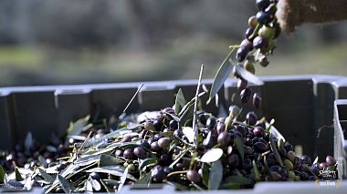 Videographer Vasilis Tsafos from Kalamata, Grèce - doleon, advertising
