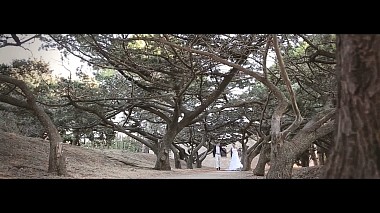 Videographer Qvision Studio from Kiew, Ukraine - Love in Greece, wedding