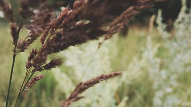 Videographer Roman Zubkov from Nižnij Novgorod, Rusko - Sergei and Nataliia | Wedding Story, engagement, event, reporting, wedding